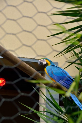 20150326 - Rome - 252